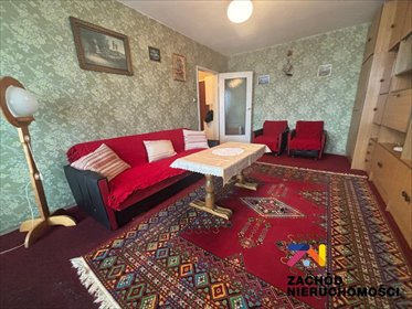 mieszkanie na wynajem 50m2 mieszkanie Zielona Góra