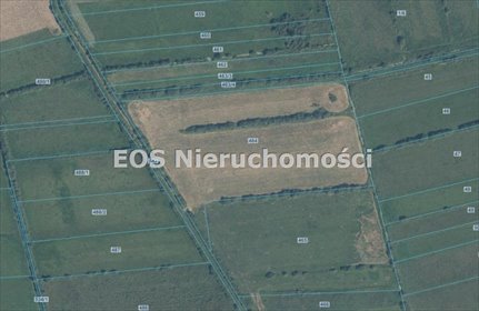Polecam dużą działkę rolną 43 000 m² w Tyrowie działka Tyrowo