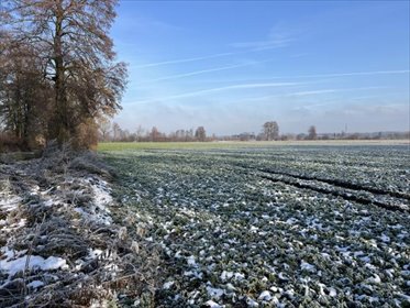 działka na sprzedaż 3823m2 działka Zawada, Brzegowa