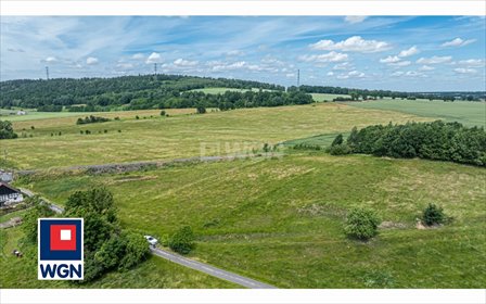 Na sprzedaż działka 2829 m² pod dom w Skorzynicach działka Skorzynice, Skorzynice