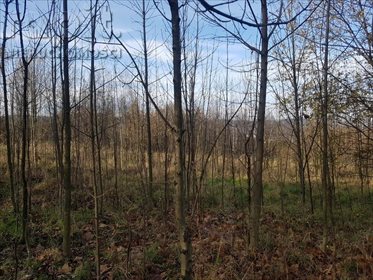 Działka budowlana na sprzedaż Myślenice, Zarabie 1 008m2 Foto 2