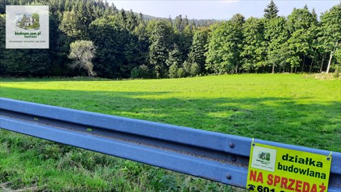 Zapraszam do zakupu działki 6422 m² w Zieleniec, blisko wyciągów działka Duszniki-Zdrój, Zieleniec, Zieleniec
