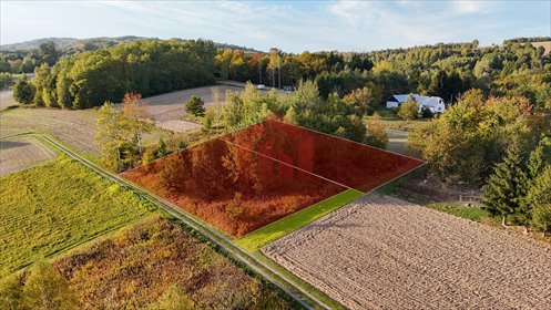 Działka 950 m² w Zagórzu - las, widoki i spokój działka Zagórze