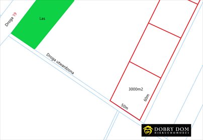 działka na sprzedaż 3000m2 działka Koźliki