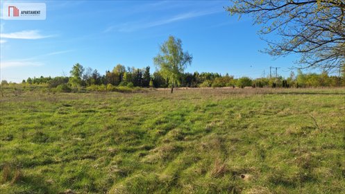 działka na sprzedaż 10900m2 działka Grzybiany