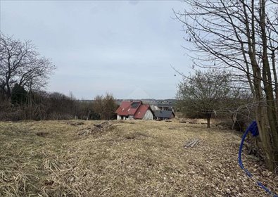 Działka budowlana na sprzedaż Bibice, Witkowicka 1 047m2 Foto 5
