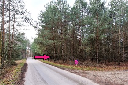 działka na sprzedaż 6000m2 działka Mejznerzyn