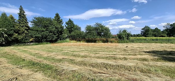 Na sprzedaż działka 0,77 ha z planem mieszkaniowo-usługowym działka Popielów