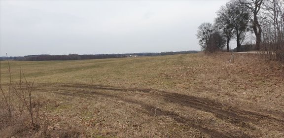 Na sprzedaż działka budowlana 3099 m² w Elganowie z mediami i dojazdem asfaltowym działka Elganowo, Elganowo