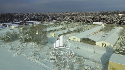 działka na sprzedaż 51900m2 działka Wysoka Głogowska