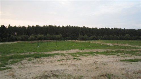 Działka 3000 m² pod inwestycję w Sarbinowie - polecam! działka Sarbinowo