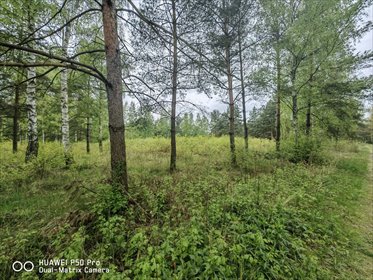 Do sprzedania działka 3074 m² w Prace Duże z mediami i lasem działka Prace Duże, Prace Duże, Tomasza Orsłowskiego