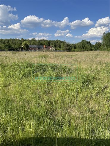 Działka 7196 m² z mediami i dostępem do asfaltu działka Stare Budy