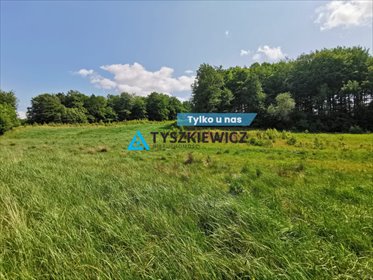 działka na sprzedaż 2997m2 działka Trzepowo, Cystersów