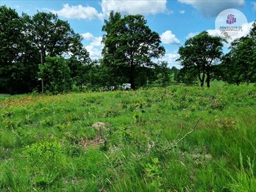 działka na sprzedaż 4259m2 działka Giławy, Giławy