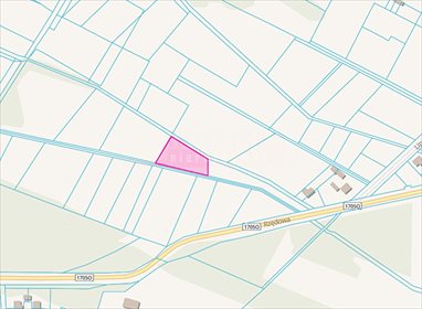 działka na sprzedaż 2500m2 działka Turawa