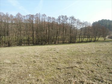 Działka budowlana na sprzedaż Kosowo 1 000m2 Foto 1