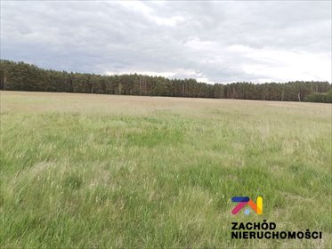 Działka 742 m² w Ochli z mediami i planem zabudowy działka Ochla