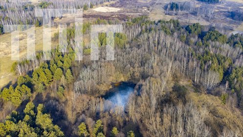 działka na sprzedaż 21380m2 działka Huta Komorowska