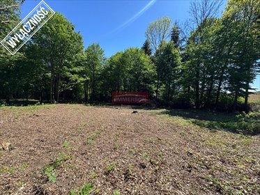 Zapraszam do zakupu działki 1803 m² w Grabiu działka Grabie