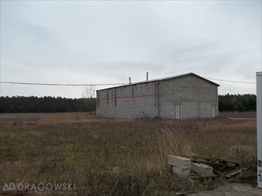 Magazyn na sprzedaż Henrysin 31 400m2 Foto 6