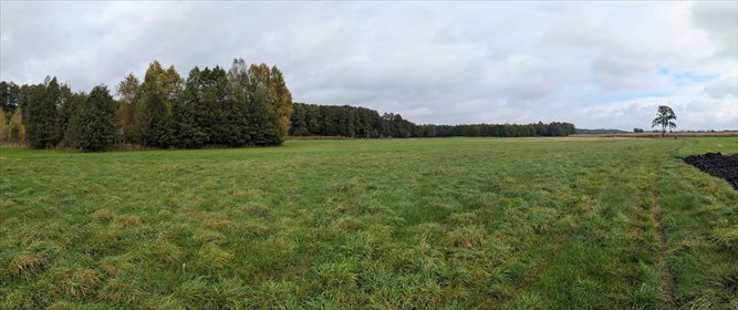 Działki rolne w Strzałkowie – pastwisko i rekreacja działka Lisków, Strzałków