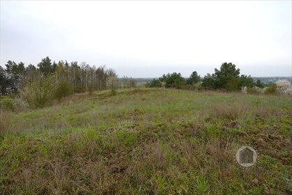 działka na sprzedaż 20900m2 działka Nowe Kurowo