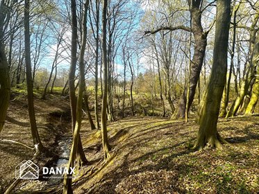 działka na sprzedaż 2962m2 działka Lednica Górna