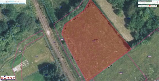 Widokowa działka w Krynica-Zdrój z MPZP, 2978 m² działka Wieś