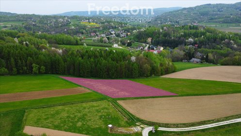 działka na sprzedaż 2829m2 działka Jasienica Rosielna