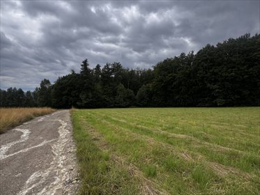 Działka budowlana 25 ar z mediami w Połomii polecam działka Połomia
