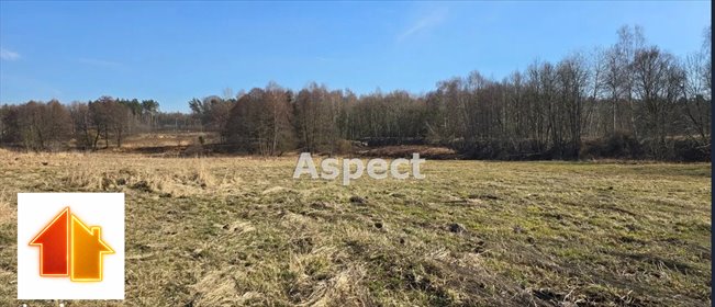 Działka budowlana 2762 m² z usługami w Rybniku działka Rybnik, Walecznych