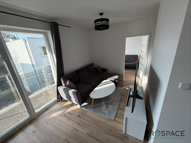 mieszkanie na wynajem 38m2 mieszkanie Sulechów