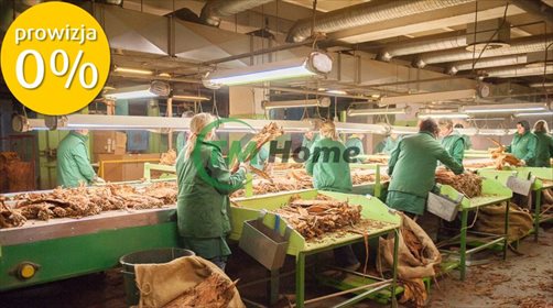 lokal użytkowy na sprzedaż 33497m2 lokal użytkowy Krasnystaw, Leśna