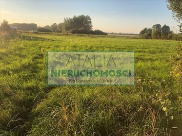 Działka 1500 m² w Książenicach z mediami i możliwością dokupienia sąsiedniej działka Książenice