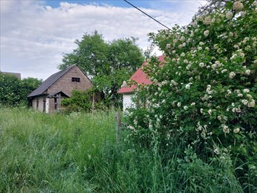 działka na sprzedaż 14475m2 działka Białogóry, Białogóry