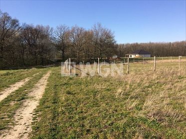 Działka budowlana na sprzedaż Krajów, KRAJÓW, KRAJÓW 1 100m2 Foto 2