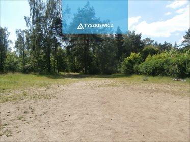 Działka inwestycyjna na sprzedaż Babi Dół 20 302m2 Foto 2