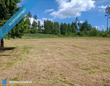 działka na sprzedaż 3200m2 działka Kudowa-Zdrój, Leśna