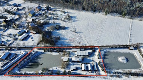 lokal użytkowy na sprzedaż 7779m2 lokal użytkowy Borówno, ok. Kamiennej