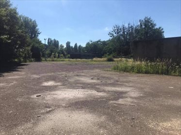 działka na wynajem 4250m2 działka Bytom