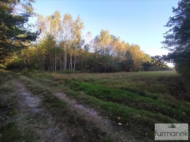 Działka inna na sprzedaż Lipiny Górne-Borowina 16 337m2 Foto 4
