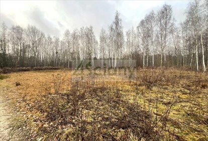 działka na sprzedaż 1500m2 działka Kałęczyn