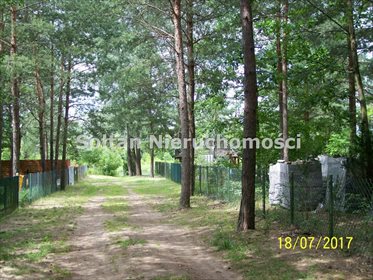 Działka rekreacyjna na sprzedaż Dzbądzek 800m2 Foto 3