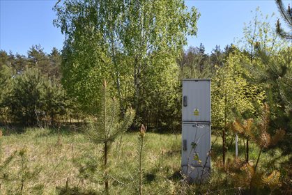 działka na sprzedaż 3100m2 działka Czyżemin