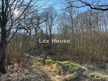 działka na sprzedaż 1650m2 działka Szczecin, Prawobrzeże