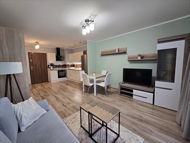 mieszkanie na wynajem 29m2 mieszkanie Mikołów, Storczyków