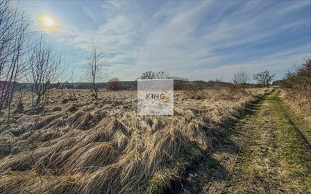 działka na sprzedaż 3000m2 działka Borzym