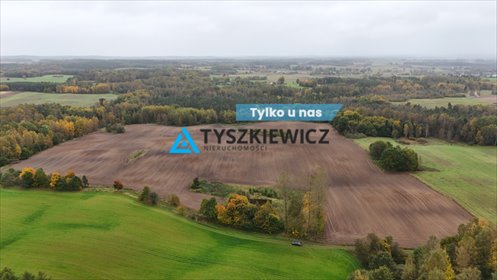 działka na sprzedaż 86943m2 działka Borowina, Wiejska