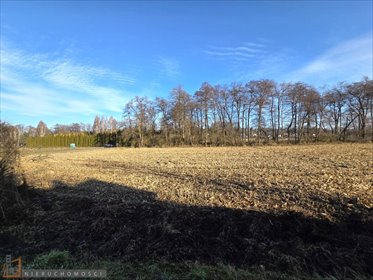 działka na sprzedaż 3900m2 działka Pękowice